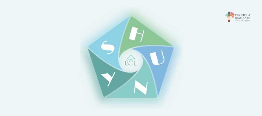 Encabezado Método SHUNY